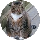 Robert Havoc Pennington profile picture